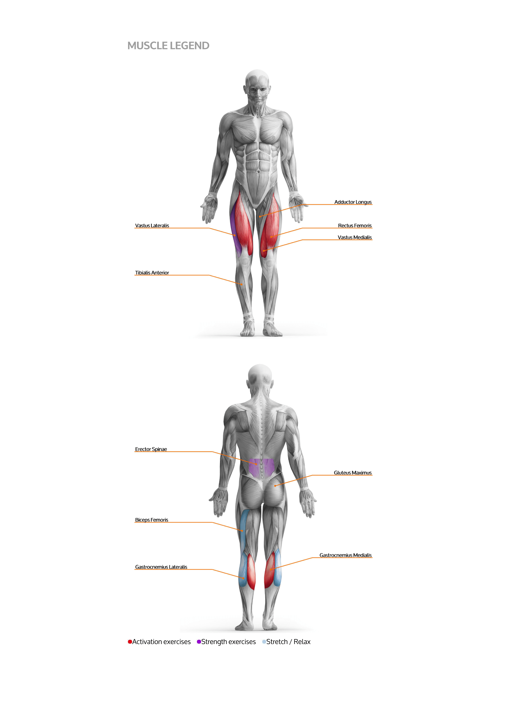 TMG-Raport-mięśnie-wskazania