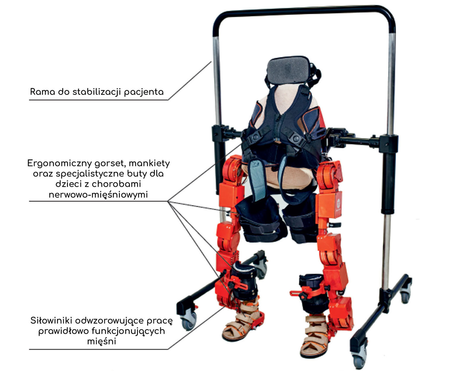 egzoszkielet-rehabilitacja-dzieci-egzoszkielet dla dzieci-egzoszkielet pediatryczny-marsi bionics-atlas2030-skyfi
