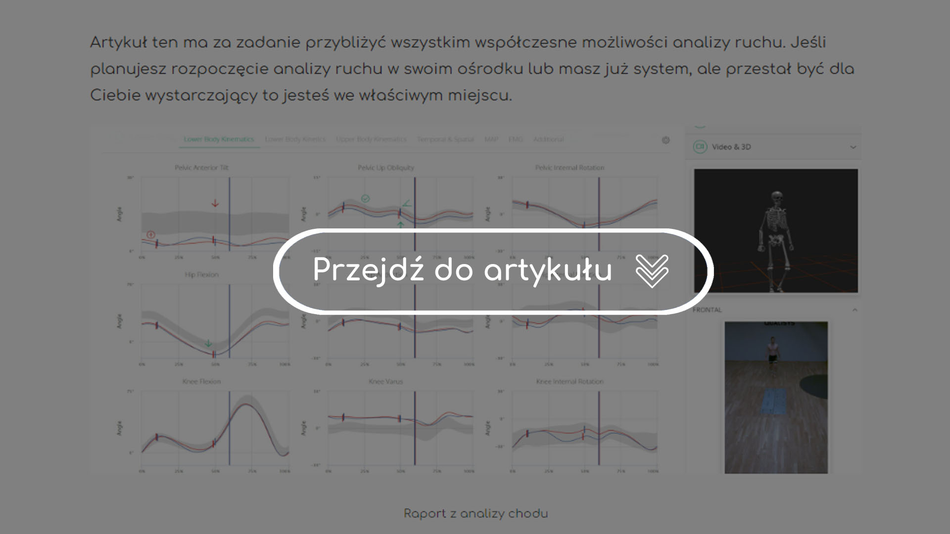 Analiza-ruchu-przegląd-systemów-artykuł-Skyfi