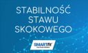 Stabilność stawu skokowego