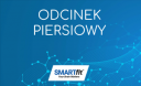 Odcinek piersiowy