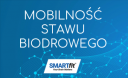 Mobilność stawu biodrowego